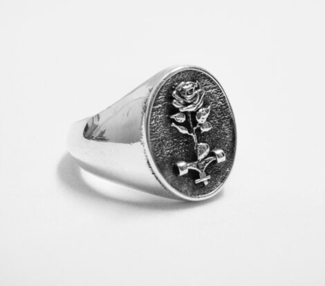 imagen de anillo bntzz para timeless skate jewelry